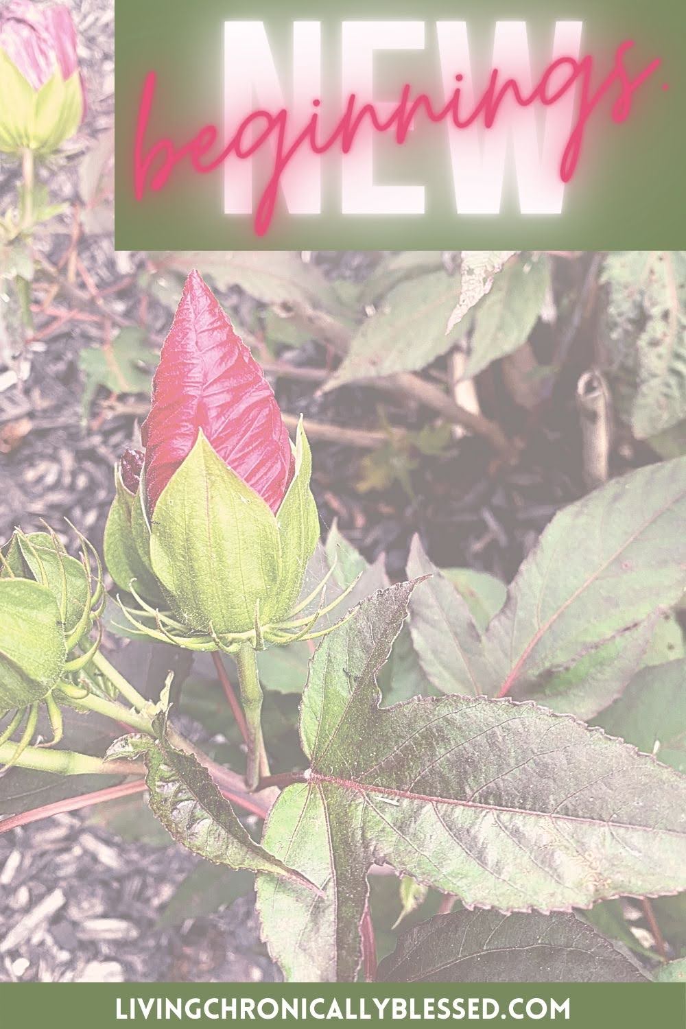 new beginnings.